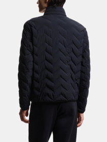 Emporio Armani EM004947-AF18499-UB118 модель EM004947-AF18499-UB118 Фото