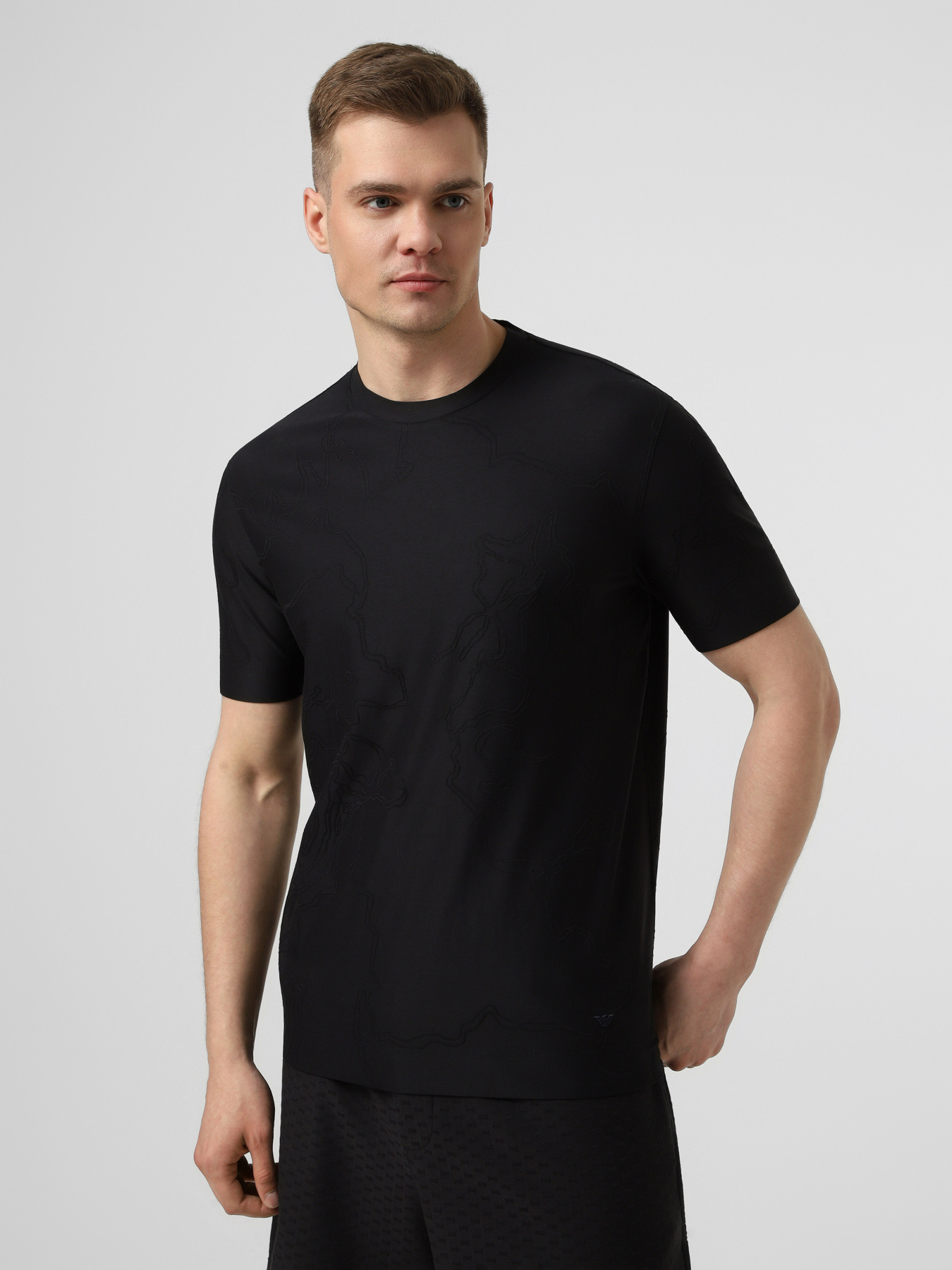 Футболки и поло Emporio Armani модель EM004644-AF23458-FB480 Фото
