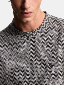 Футболки и поло Emporio Armani модель EM005546-AF25181-F1008 Фото