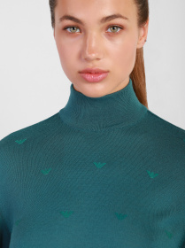 Водолазка Emporio Armani модель 6K2MTC-2M08Z-0547 Фото