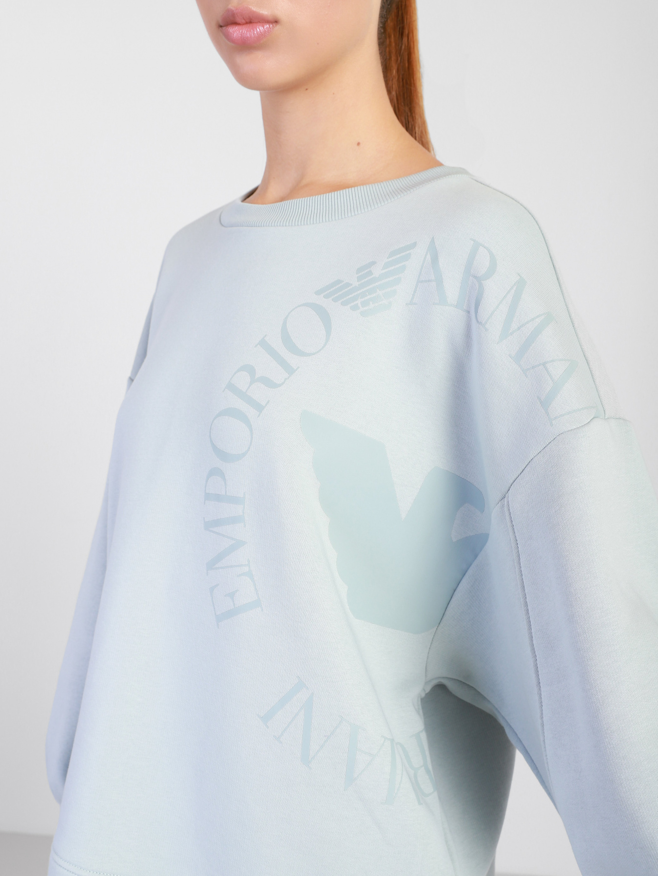 Світшот Emporio Armani модель 6K2M7J-2JRGZ-0705 Фото