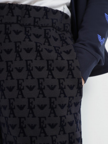 Штаны спортивные Emporio Armani модель 6L2P7D-2JTCZ-0926 Фото