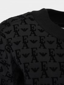 Свитшот Emporio Armani модель 6L2M7I-2JTCZ-0999 Фото