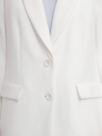 Пиджак Emporio Armani Travel Essentials модель 3R2G98-2NK8Z-0101 Фото