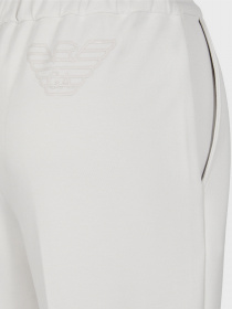 Брюки повседневные Emporio Armani модель 6R2P7G-2JRKZ-0103 Фото