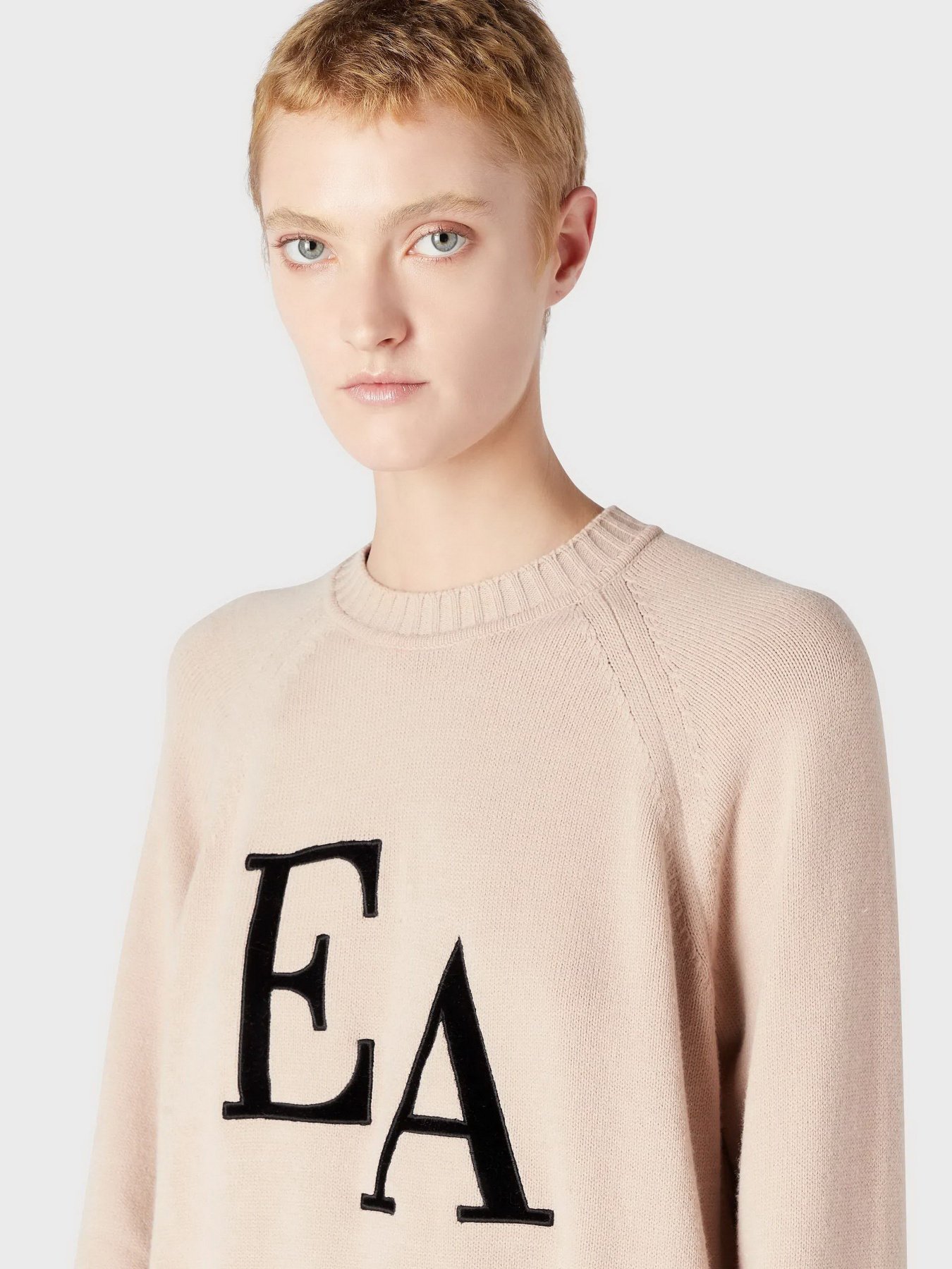 Джемпер Emporio Armani Icon Project модель 8N2MYL-2MA6Z-0213 Фото