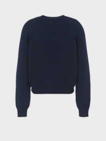 Джемпер Emporio Armani Icon Project модель 8N2MYL-2MA6Z-0927 Фото