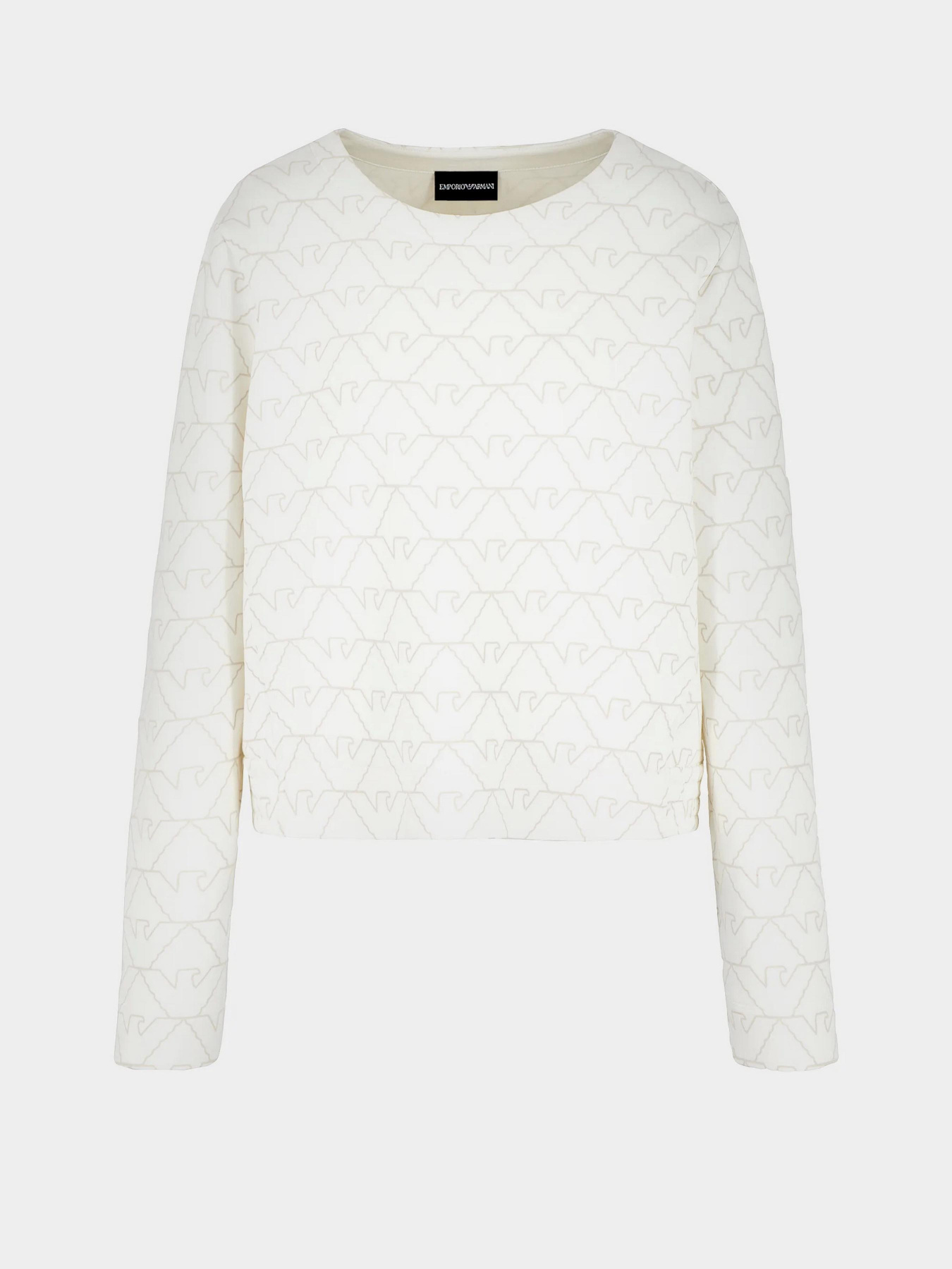 Свитшот Emporio Armani модель 3D2M6H-1JHSZ-F126 Фото