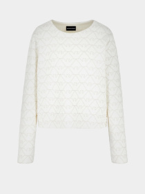 Світшот Emporio Armani модель 3D2M6H-1JHSZ-F126 Світшот Emporio Armani модель 3D2M6H-1JHSZ-F126 Фото