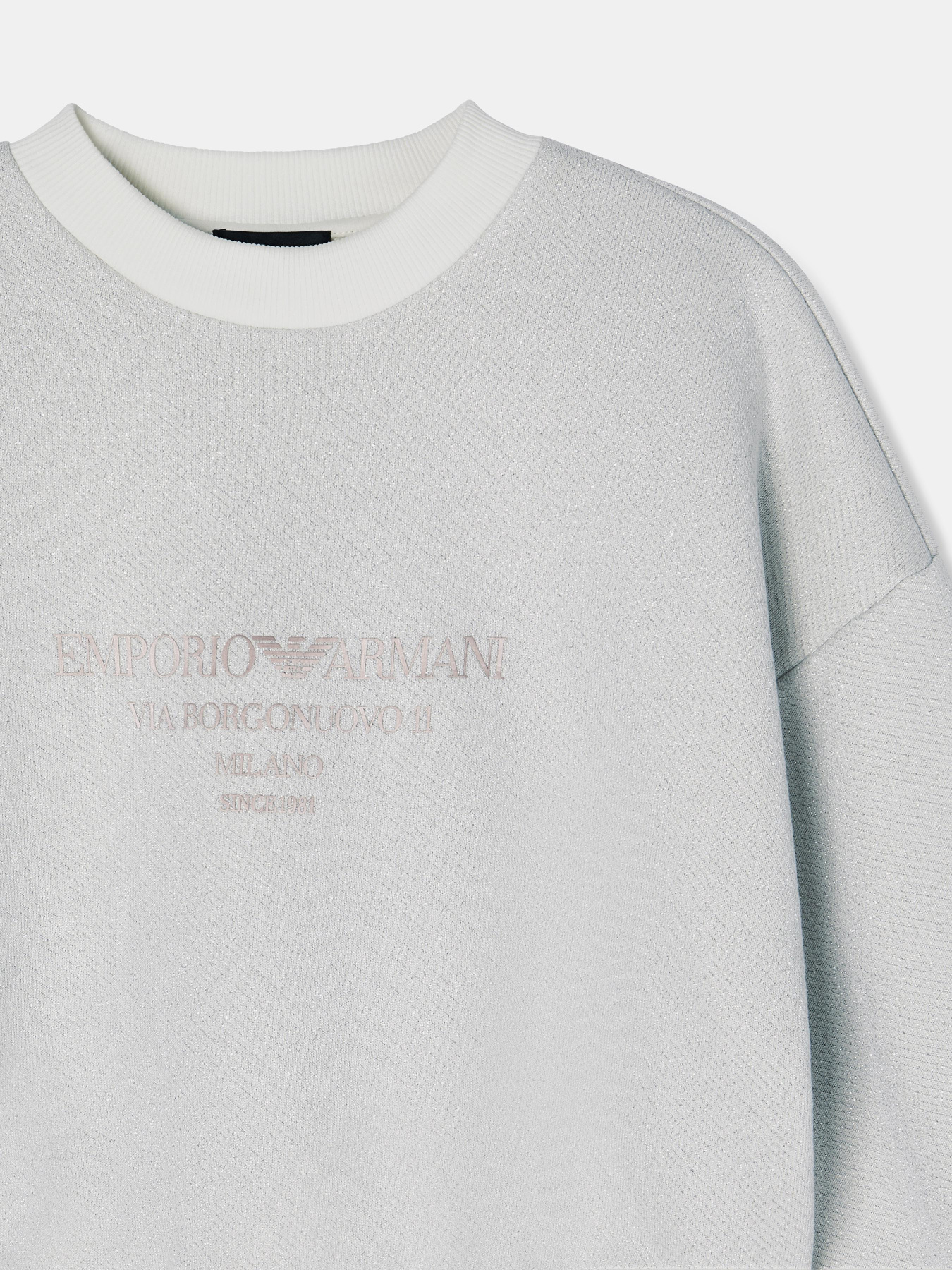 Світшот Emporio Armani модель EW003508-AF21219-F0023 Фото