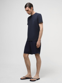 В'єтнамки Emporio Armani модель XVQS08-XN746-N527 Фото