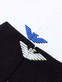 Набір шкарпеток Emporio Armani модель EM000538-AF12299-MC001 Фото