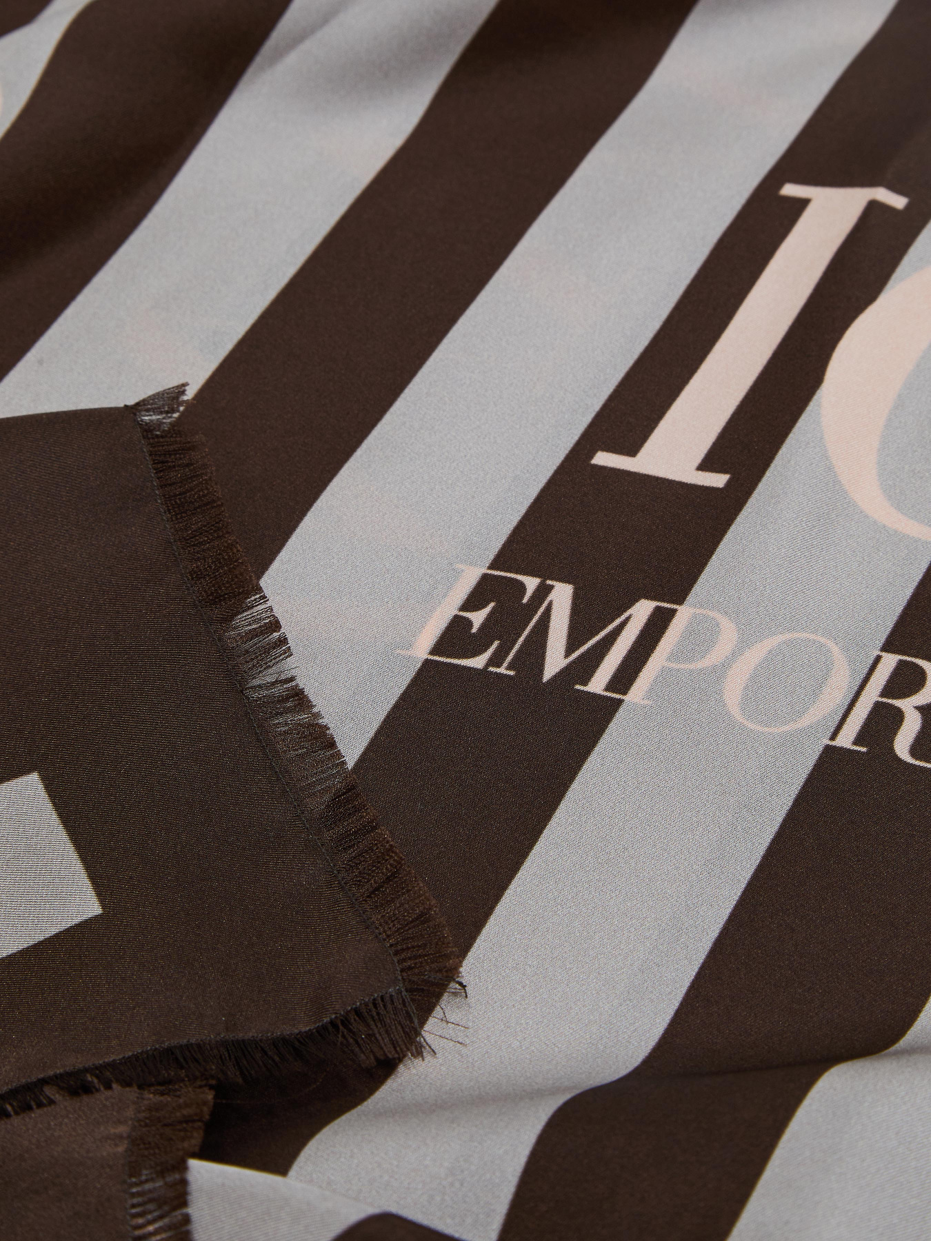 Платок Emporio Armani модель EW004043-AF23574-F8092 Фото