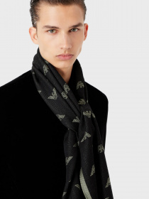 Шарф Emporio Armani модель 625009-CC306-03344 Фото