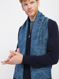 Шарф Emporio Armani модель 625009-CC306-08236 Фото