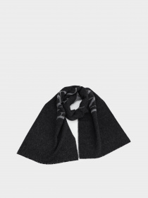 Шарф Emporio Armani модель 625052-2F360-00321 Шарф Emporio Armani модель 625052-2F360-00321 Фото