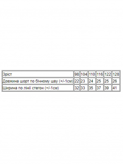 Набір шортів Носи своє модель 6262-1-fuksq-leopard — фото 3 - INTERTOP