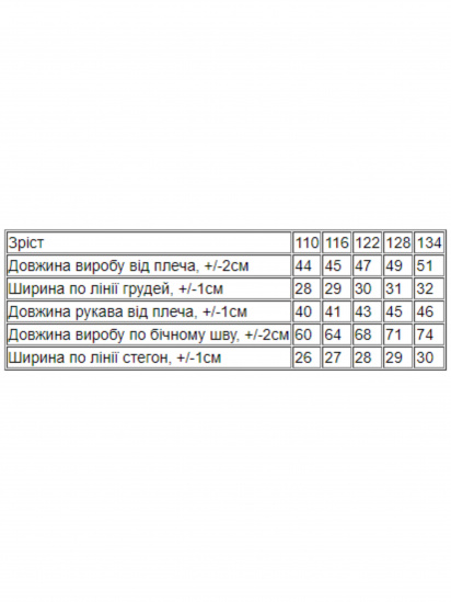 Термобілизна Носи своє модель 6349-113-svtlij-graft — фото 3 - INTERTOP