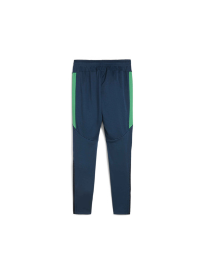 Штани спортивні PUMA Neymar Jr Bna Training Pants модель 659706 — фото - INTERTOP