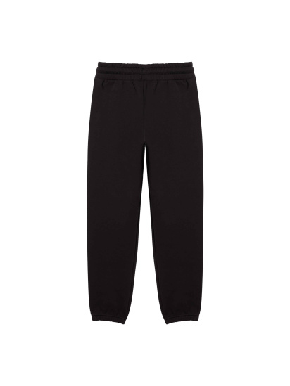 Штани спортивні PUMA Elevated Sweat Pant Fl модель 674083 — фото - INTERTOP