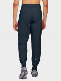 Шорты спортивные Asics Big Logo модель 2031A977-409 Фото