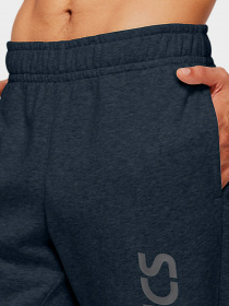 Шорты спортивные Asics Big Logo модель 2031A977-409 Фото