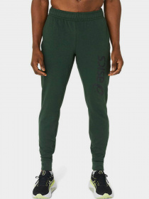 Штаны спортивные Asics Big Logo модель 2031A977-300 Фото