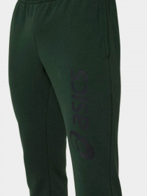 Спортивні штани Asics Big Logo модель 2031A977-300 Фото