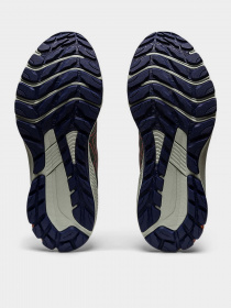 Кросівки для бігу Asics Gt-1000 11 Tr модель 1012B388-700 Фото