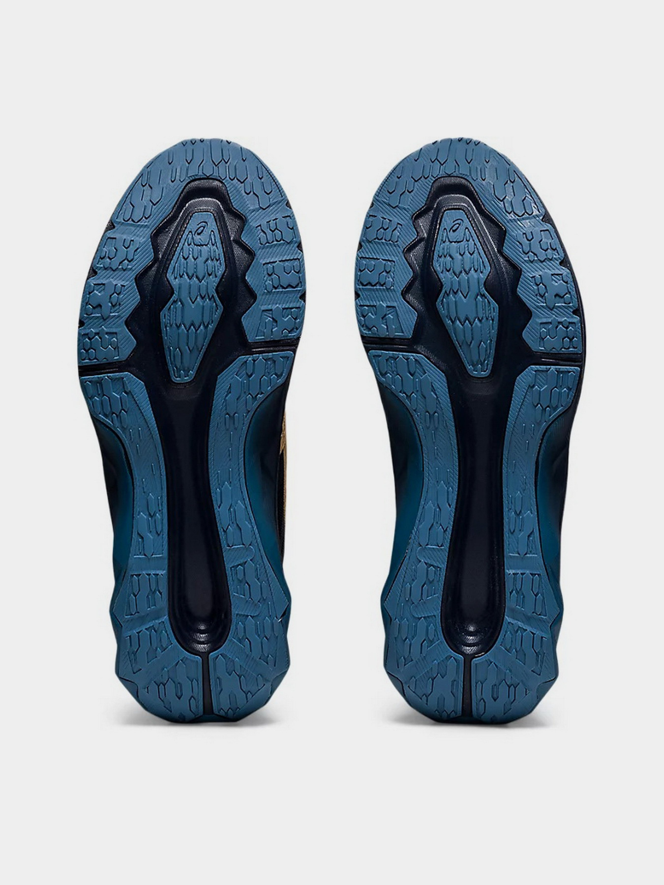 Кроссовки для бега Asics NOVABLAST модель 1012A584-401 Фото