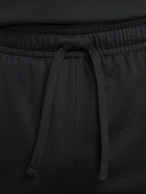 Шорты NIKE Jordan Dri-FIT Air модель DH9077-010 Фото