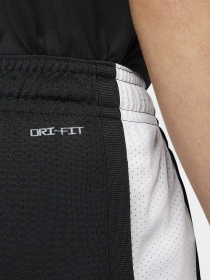 Шорты NIKE Jordan Dri-FIT Air модель DH9077-010 Фото