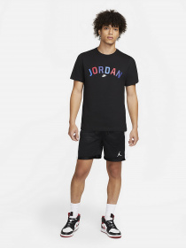 Шорты NIKE Jordan Dri-FIT Air модель DH9077-010 Фото