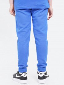 Спортивні штани NIKE модель CJ7863-481 Фото