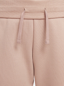 Штаны спортивные NIKE Sportswear Club модель DC7207-609 Фото