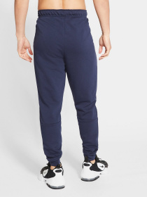 Штани спортивні NIKE Spring модель CZ6379-451 Фото