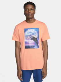 Футболка NIKE Whale Ftra Photo модель DN5196-693 Фото