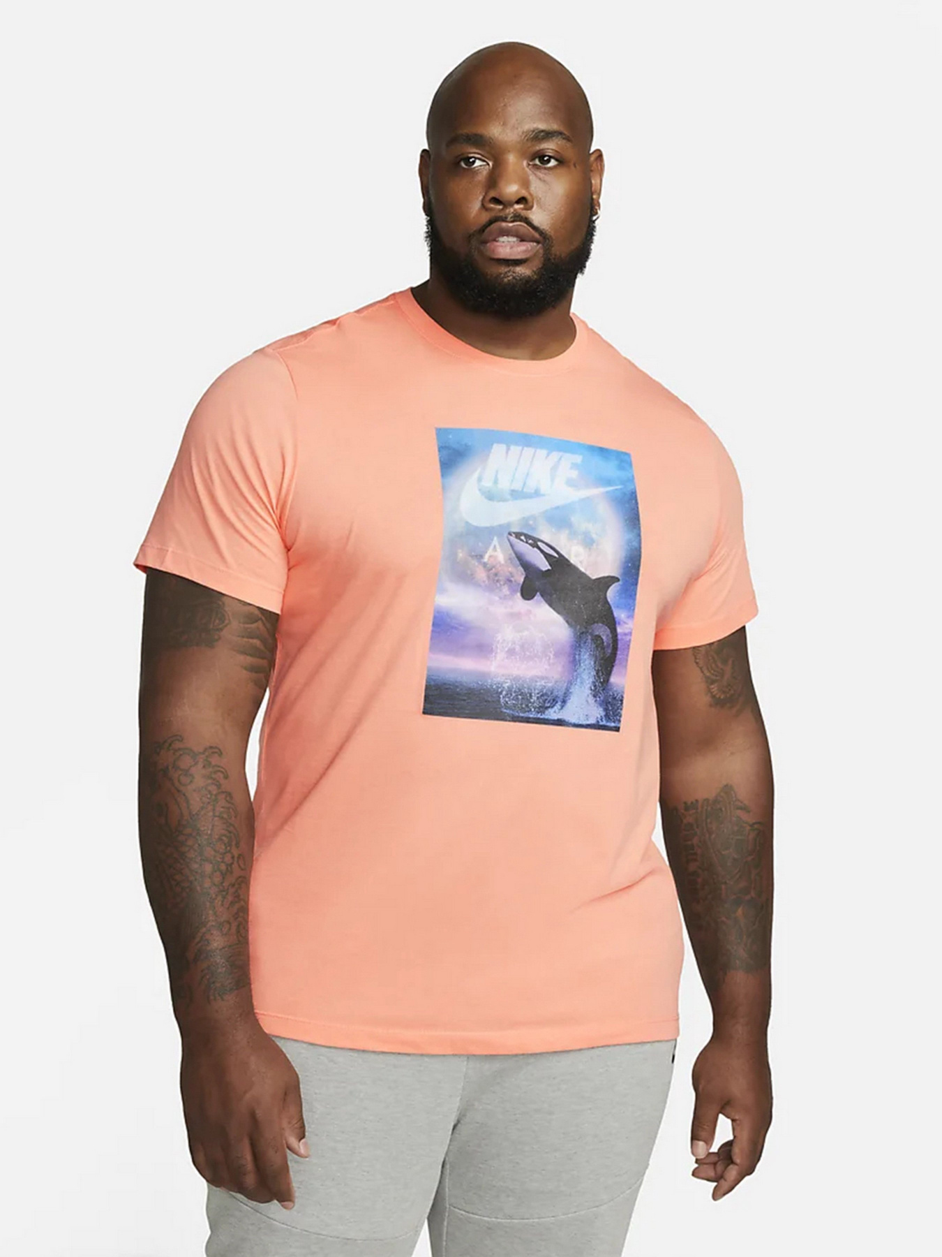 Футболка NIKE Whale Ftra Photo модель DN5196-693 Фото