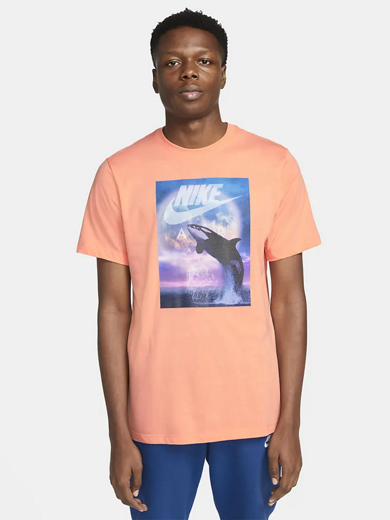 Футболка NIKE Whale Ftra Photo модель DN5196-693 Фото
