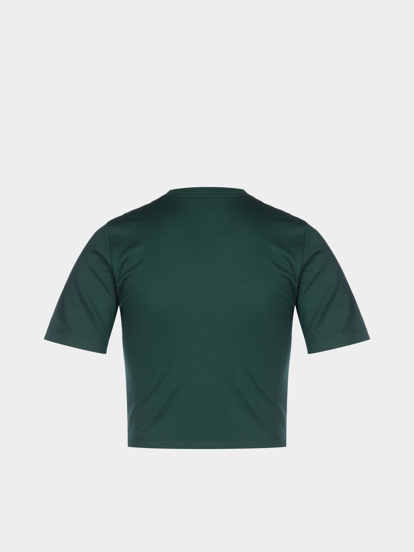 Спортивна футболка NIKE Sportswear Essential модель DD1328-397 Фото