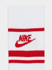 Набір шкарпеток NIKE Everyday Essential модель DX5089-102 Фото