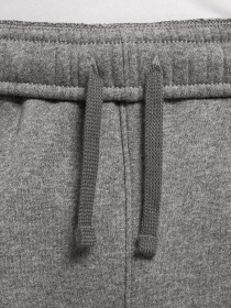 Штаны спортивные NIKE Sportswear Club Fleece модель BV2671-071 Фото