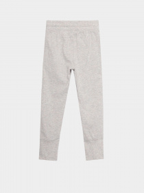 Штани спортивні NIKE Essentials модель 36G752-GEH Фото