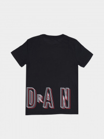 Футболка NIKE AIR JORDAN модель 95B563-023 Футболка NIKE AIR JORDAN модель 95B563-023 Фото