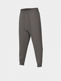 Штаны спортивные NIKE Sportswear Icon модель DQ8882-210 Фото