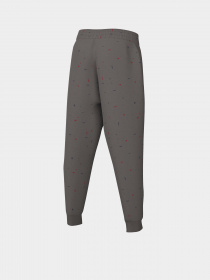 Спортивні штани NIKE Sportswear Icon модель DQ8882-210 Фото