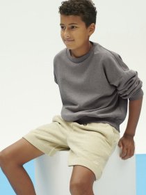 Свитшот NIKE Sportswear Icon модель DQ9002-210 Фото