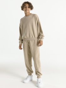 Світшот NIKE Sportswear Icon модель DQ9002-250 Фото