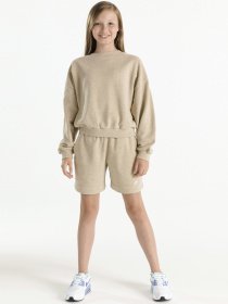 Світшот NIKE Sportswear Icon модель DQ9002-250 Фото