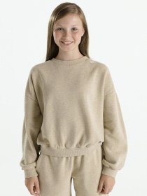 Світшот NIKE Sportswear Icon модель DQ9002-250 Фото